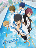 Free! Iwatobi Swim Club 3D Lenticular Wall Art Poster